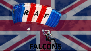falcons.png (105 KB)