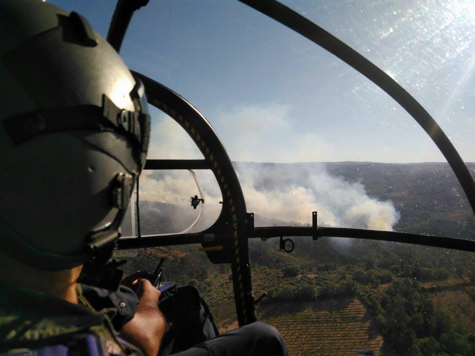 'Zangões' perto das 200 horas de voo no combate a incêndios